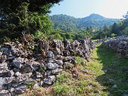 Monte Suchello (1541 m) ad anello da Costa Serina il 28 agosto 2024   - FOTOGALLERY